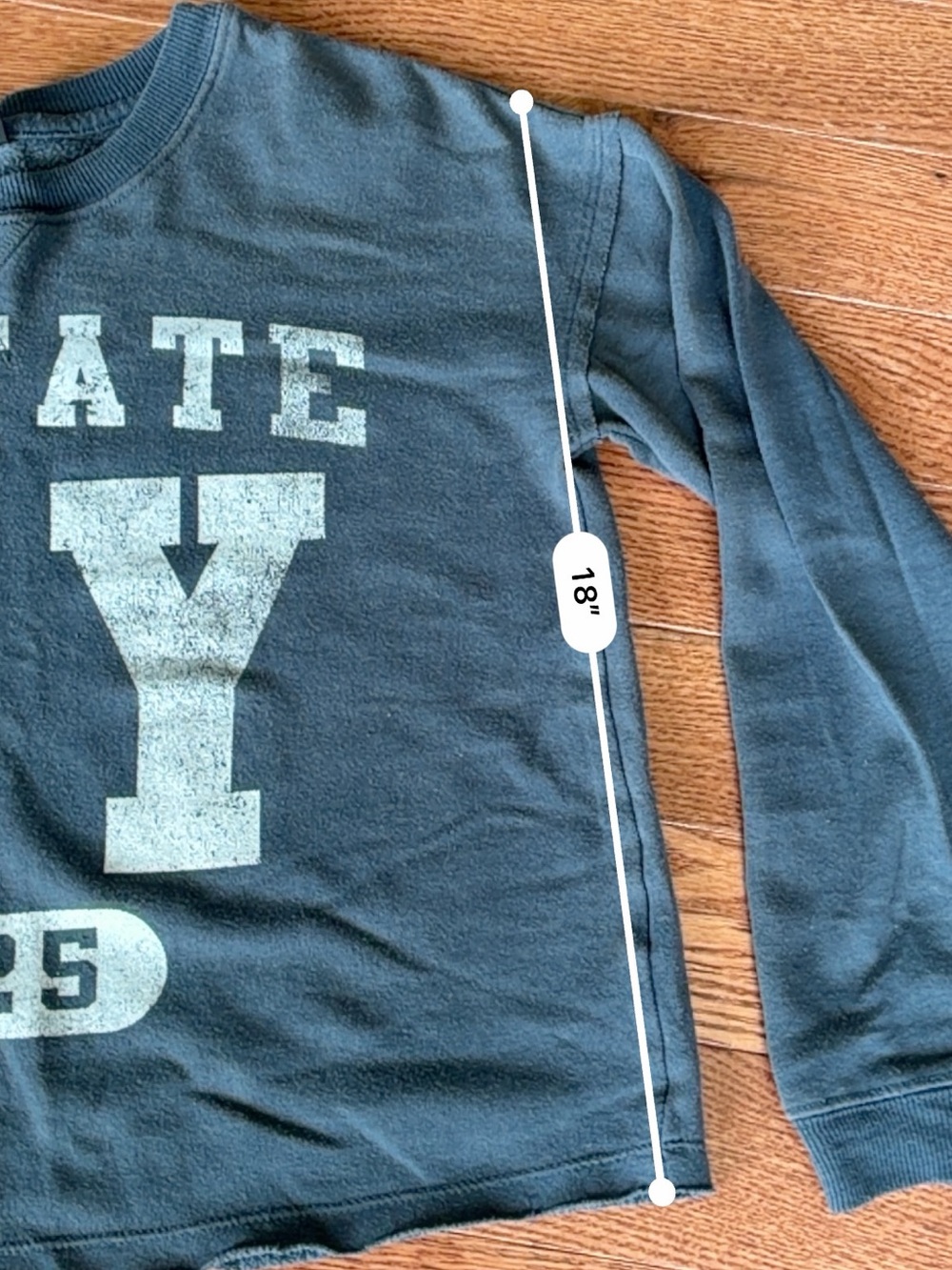 art class Blue 'Upstate NY' Graphic crewneck sweatshirt - girls XL 14/16 - Picture 6 of 6